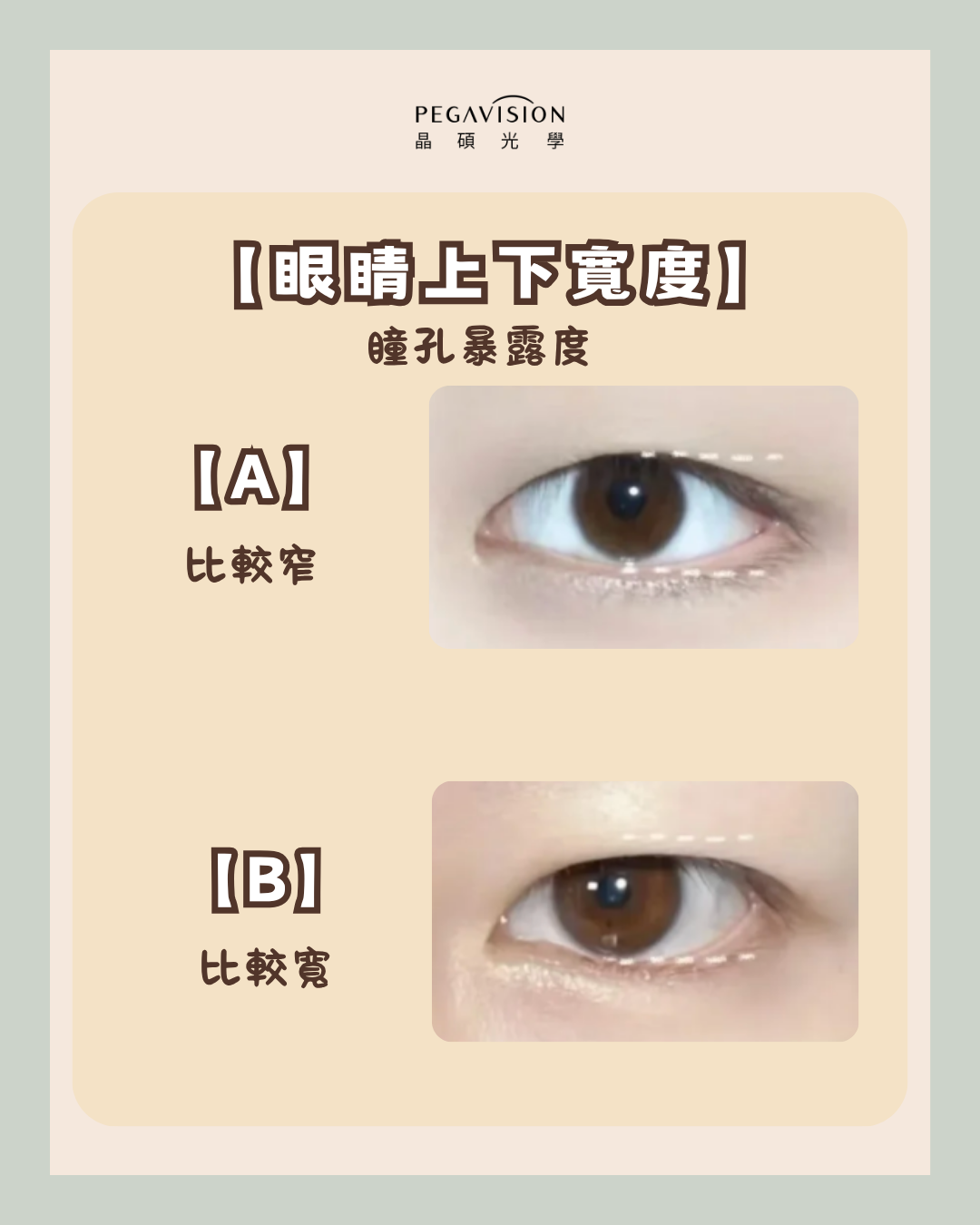 【眼型自測指南】3