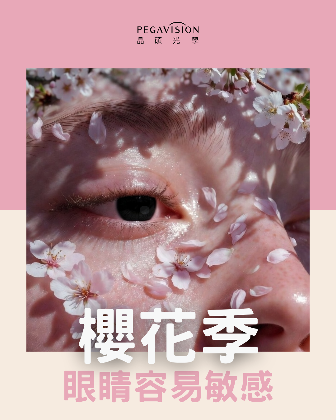 11_3櫻花季敏感1