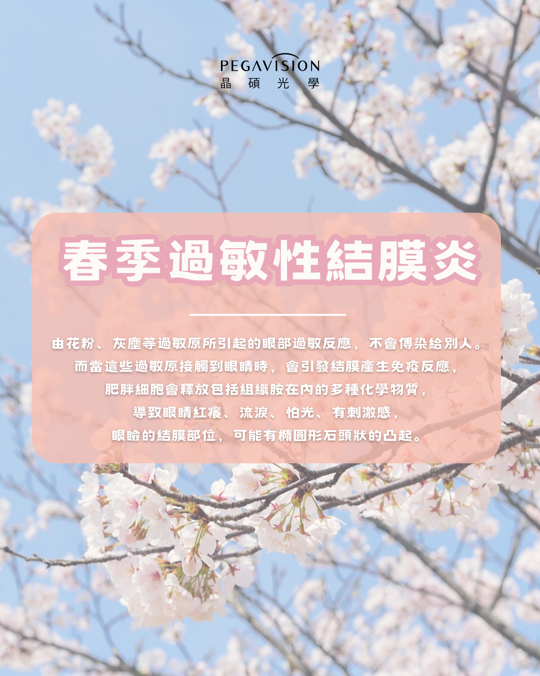 11_3櫻花季敏感2